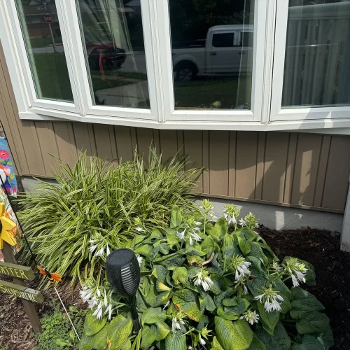 signature-restoration-solutions-gallery-0027-1920w