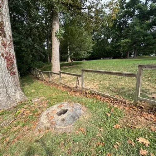 signature-restoration-solutions-gallery-317-600h