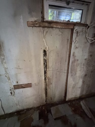 IMG 0458